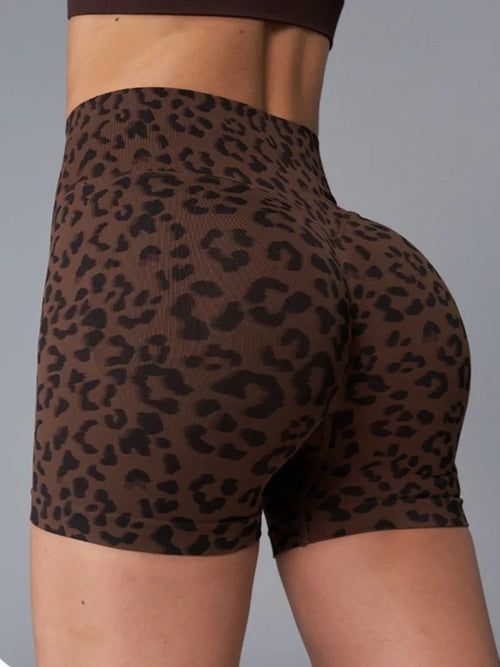 Leopard Print High Waist Shorts
