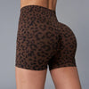 Leopard Print High Waist Shorts
