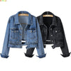 Casual Denim Jacket